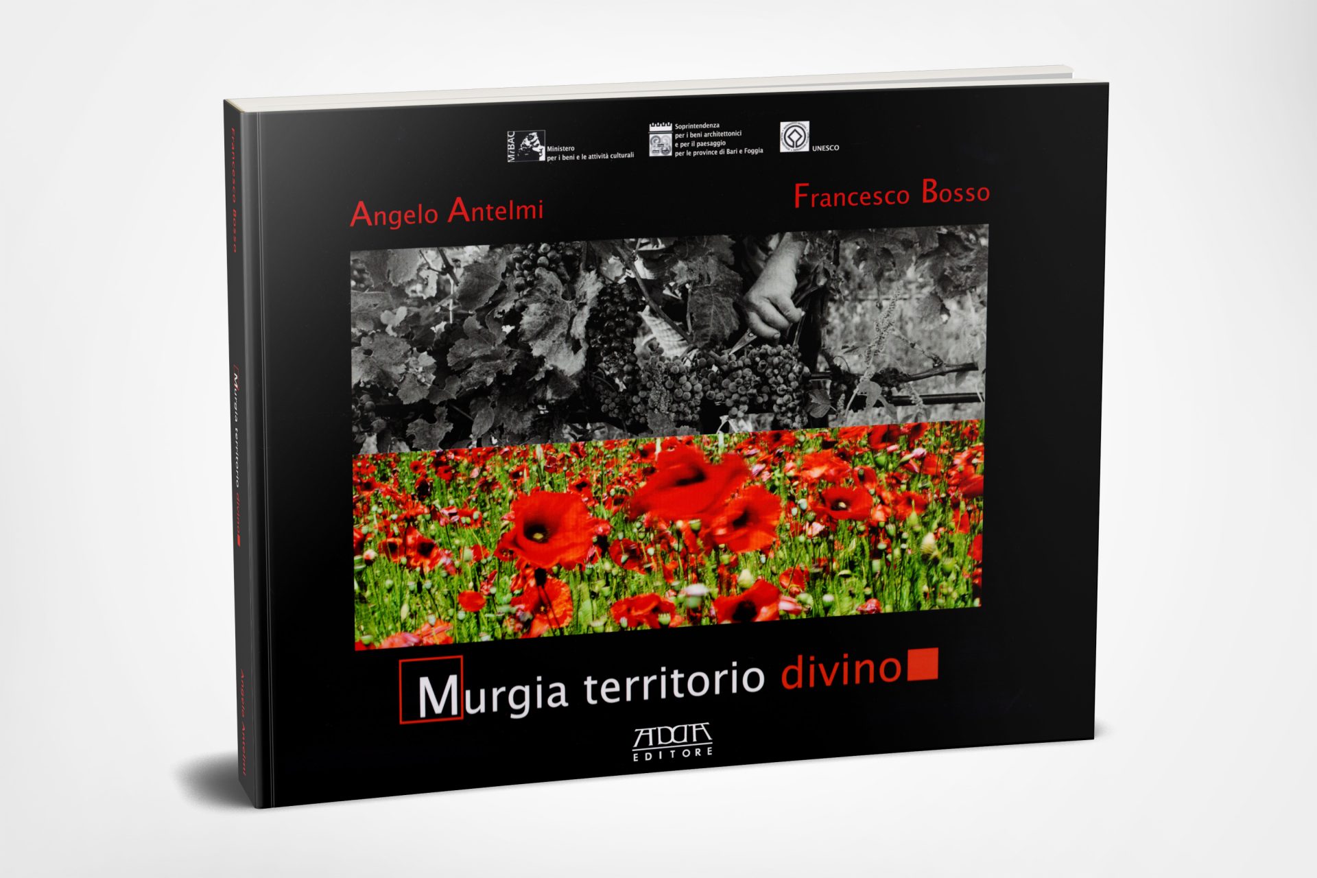 carpentiere libro 1920x1280 1