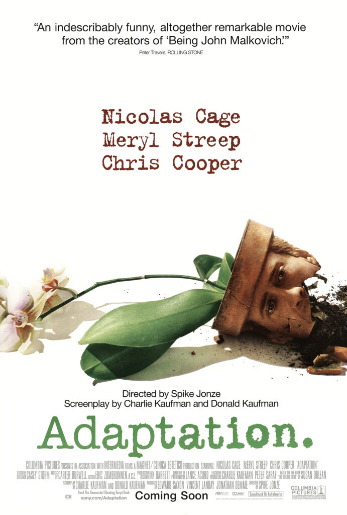 Non è una SEO per Vecchi 2 adaptation