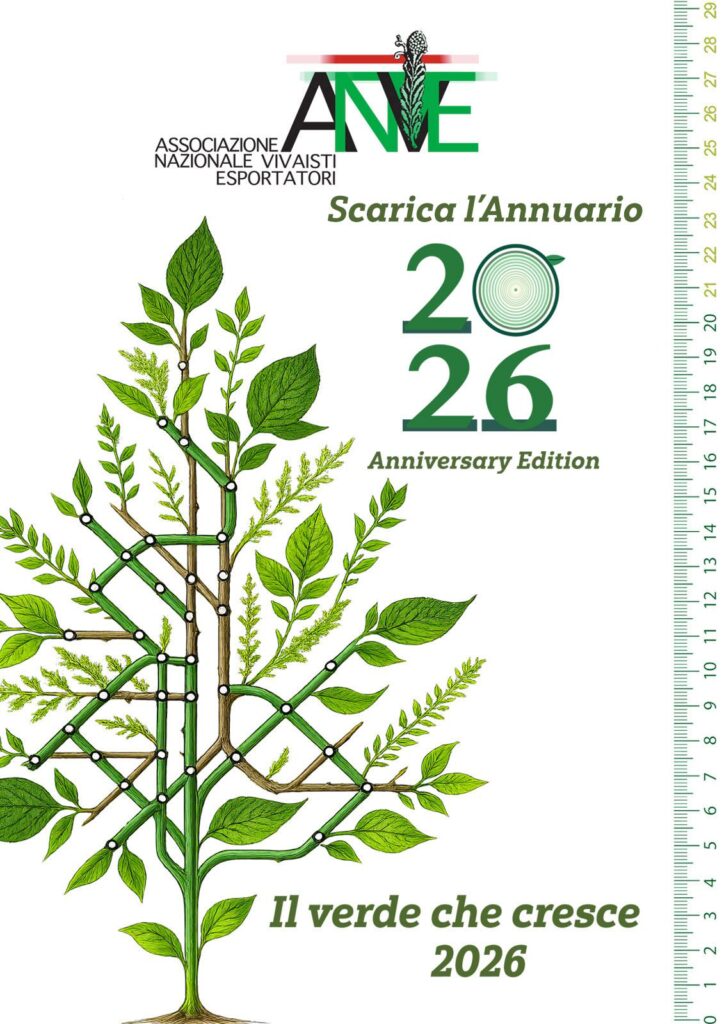 anve2026 anve2026